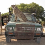 Namibija_14_21