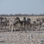 Namibija_14_22