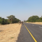 Namibija_14_25