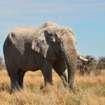 Namibija_14_36