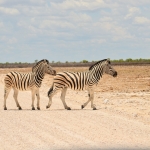 Namibija_14_41