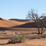Namibija_14_45