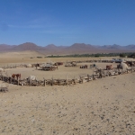 Namibija_14_50