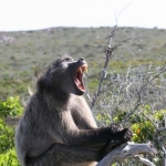 Namibija_14_60